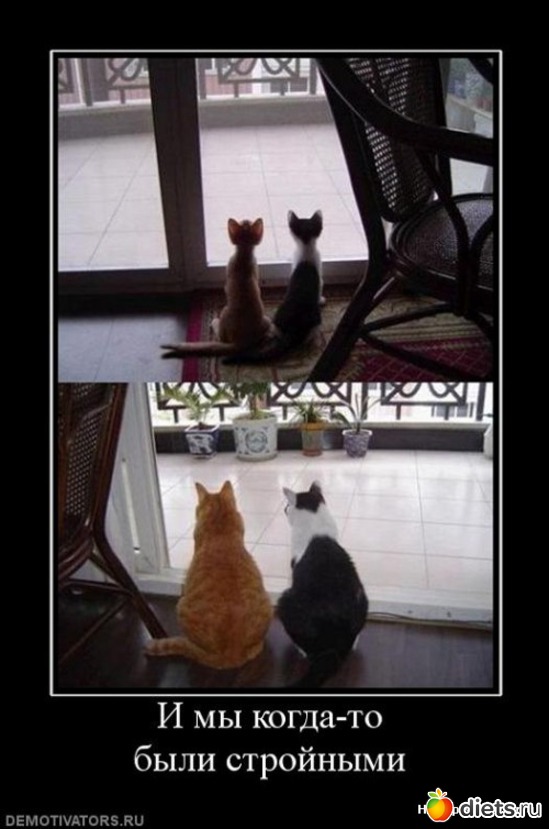 123 ����: ���������