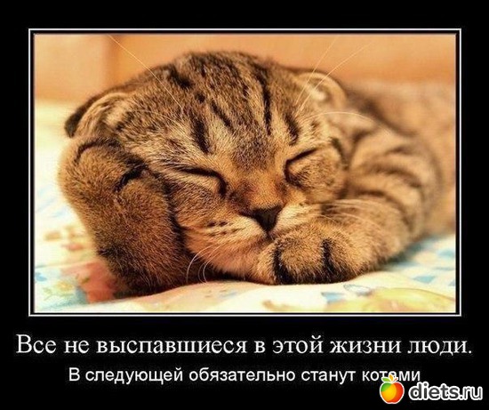 124 ����: ���������