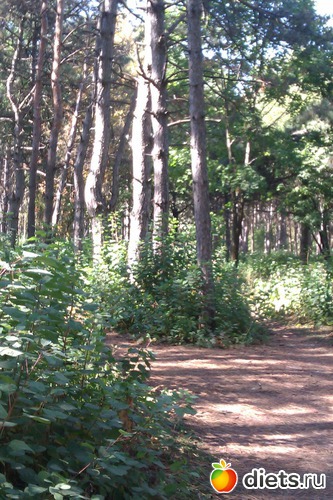 1 ����: ��������