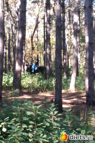 6 ����: ��������