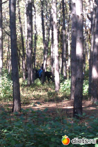 7 ����: ��������