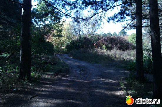 8 ����: ��������