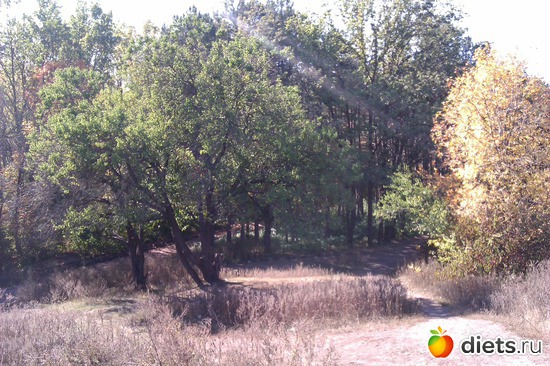 9 ����: ��������