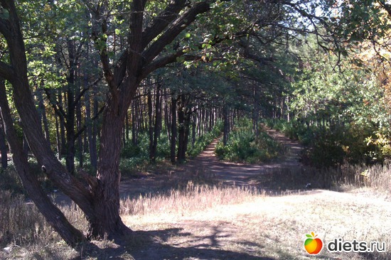 10 ����: ��������