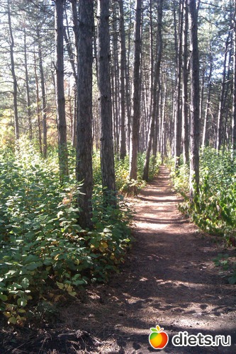 11 ����: ��������