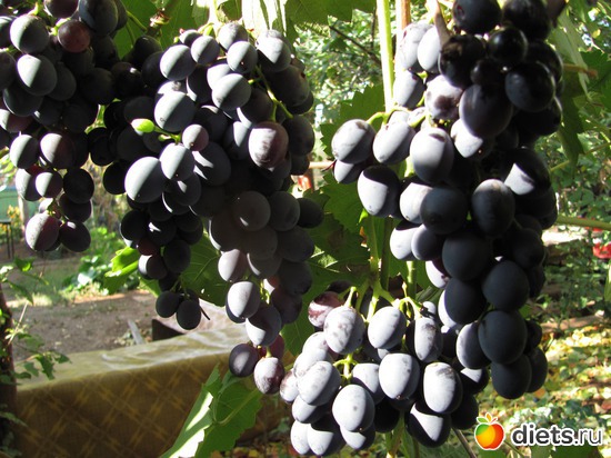    .  2012., :  2012.,  .