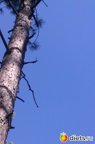 13 ����: ��������