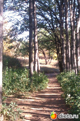 14 ����: ��������