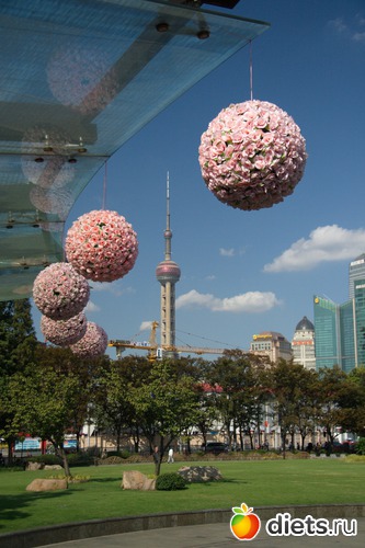 126 фото: Shanghai