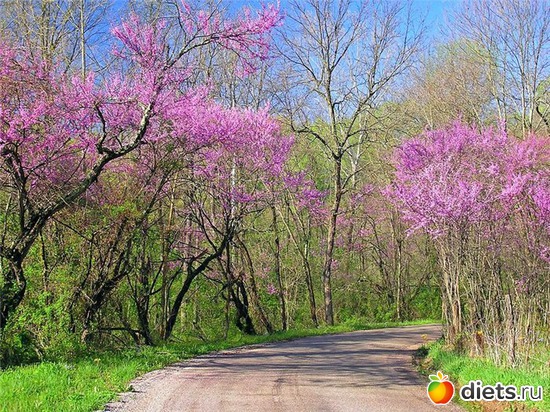 45 ����: �����...