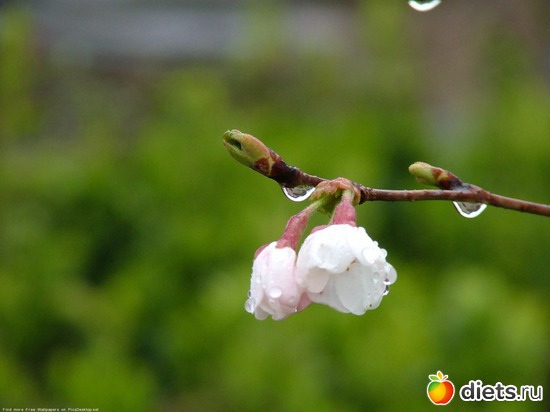 50 ����: �����...