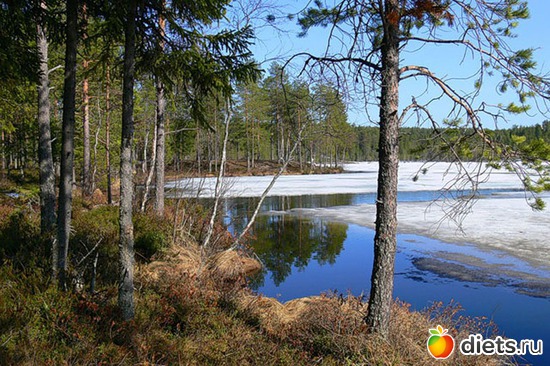 55 ����: �����...