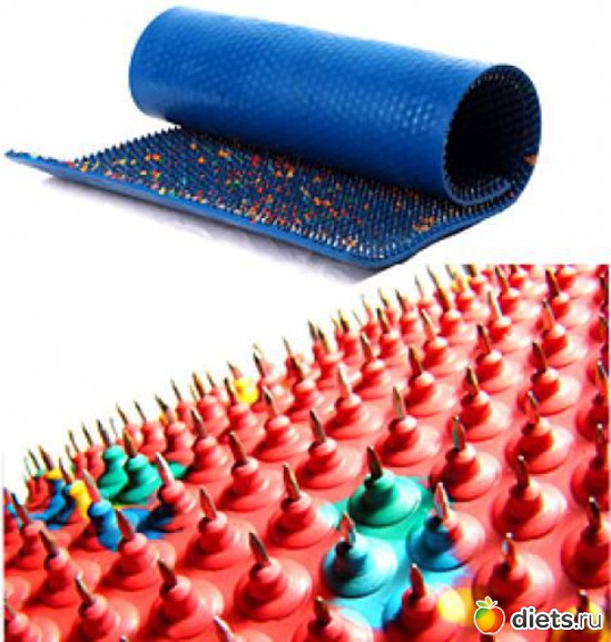 5 ����: ���������� ����� ��� ������������ � ���������