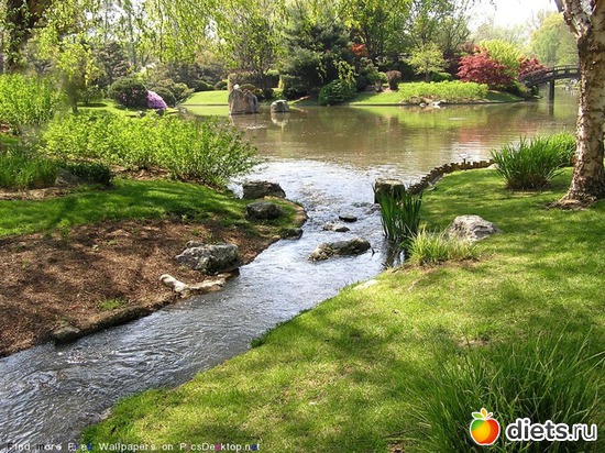 57 ����: �����...