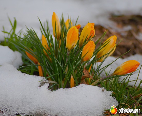 58 ����: �����...