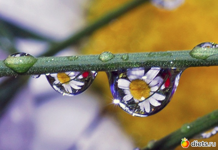 60 ����: �����...