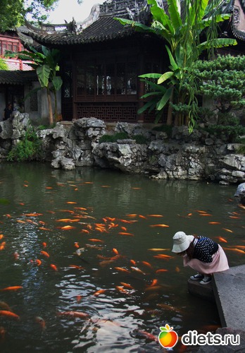 144 фото: Shanghai