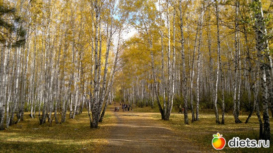 36 ����: ��� ������� �����