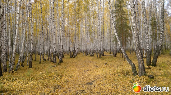 37 ����: ��� ������� �����