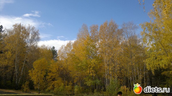 38 ����: ��� ������� �����