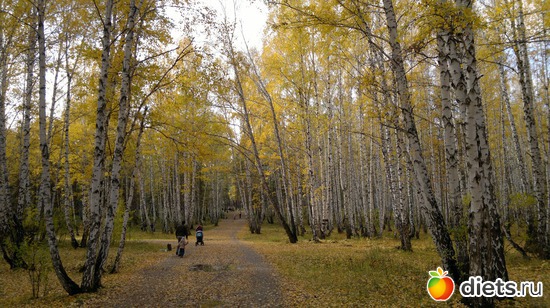 39 ����: ��� ������� �����