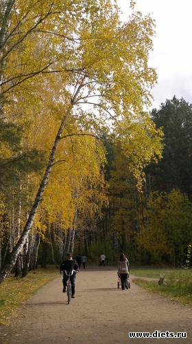 40 ����: ��� ������� �����