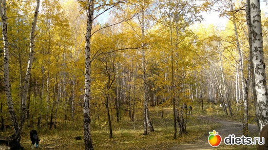 42 ����: ��� ������� �����