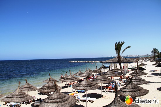 8 ����: ������ � ������ 2012.