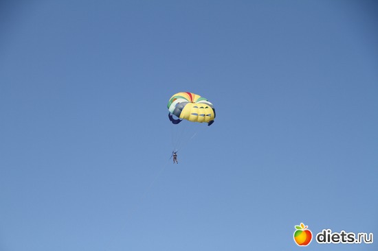 34 ����: ������ � ������ 2012.