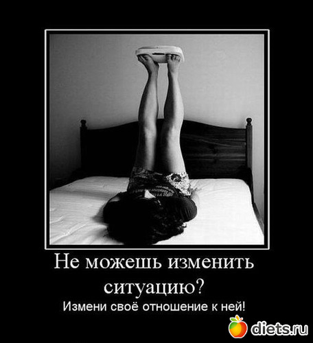 156 ����: ���������