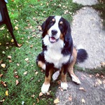 Родители...<3