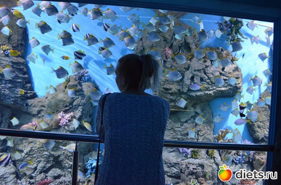 2 ����: ))))