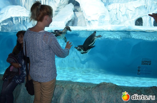 5 ����: ))))