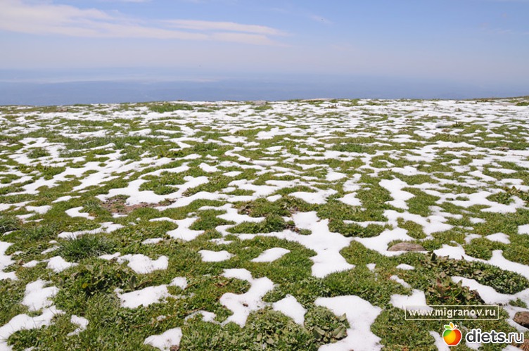 63 ����: �����...