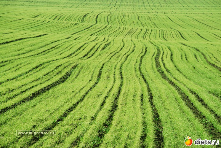 64 ����: �����...