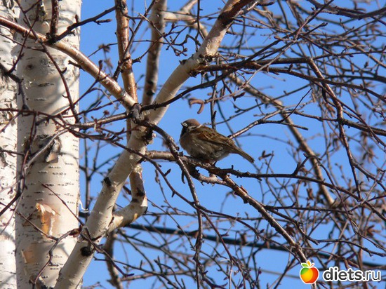 65 ����: �����...