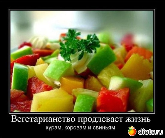 6 ����: �����������