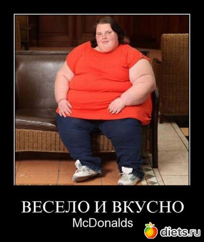 13 ����: �����������