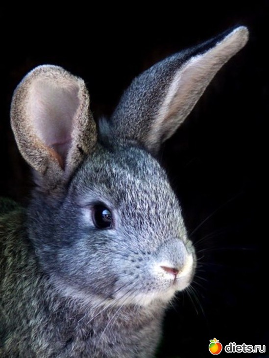 7 ����: ����� 1