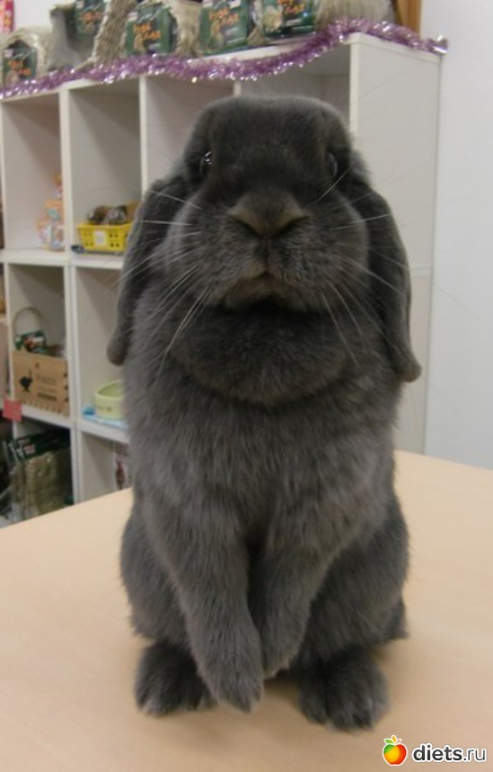 10 ����: ����� 1