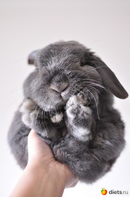 12 ����: ����� 1