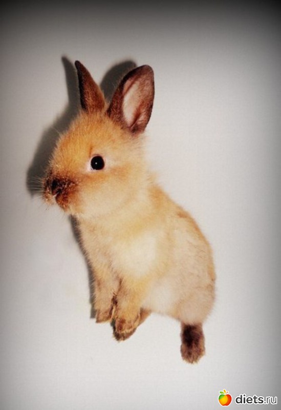 13 ����: ����� 1