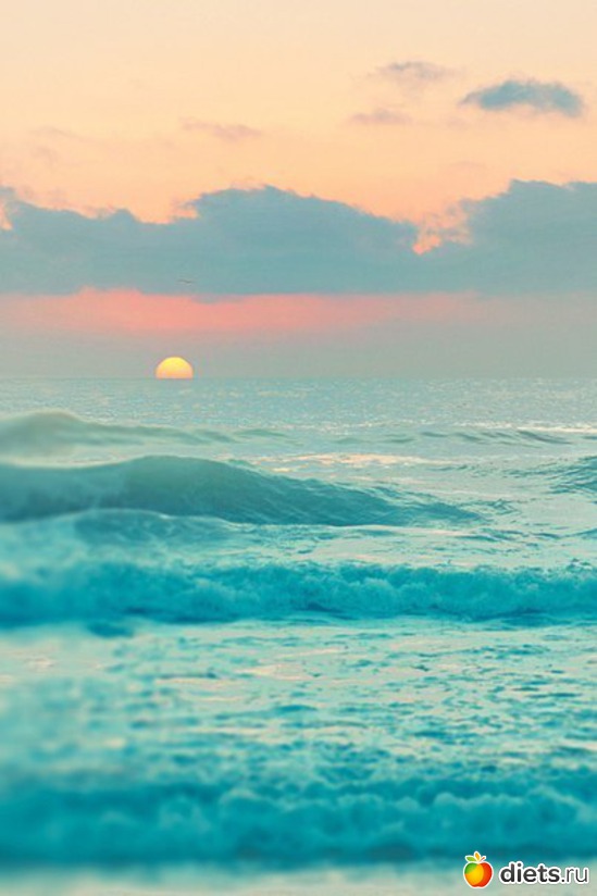 19 ����: ����� 1