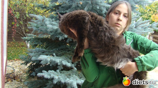 177 фото: Гаражная распродажа.