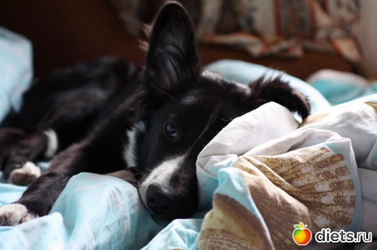 28 ����: ����