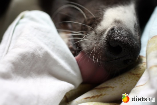 29 ����: ����