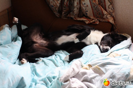 30 ����: ����