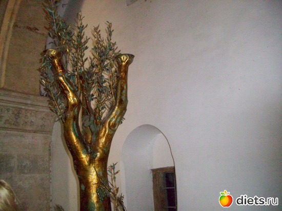 59 ����: ���������