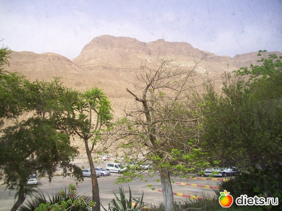 23 фото: мёртвое море