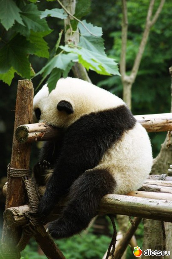 20 ����: ����� 1